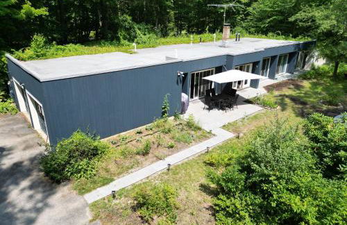 earthship forest exile - Foto 3