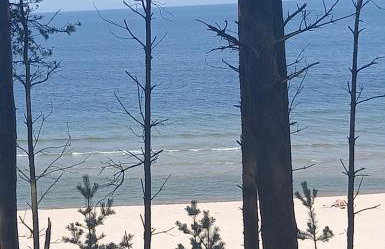 Apartament MIODOWY przy plaży - Foto 24