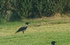 Boutique apartments Myesis - Foto 67