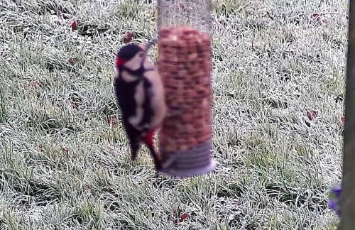 Peaceful ensuite lakeside cabin 'Tench' - Foto 16