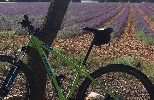 Casa Rural LAS ABUBILLAS - Foto 19