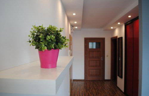 MT Apartments - Foto 38