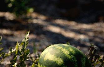 Kukutseli Country Living by WhiteDream Villas - Foto 16