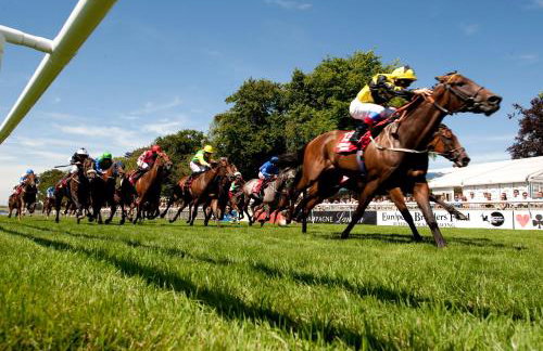 Old School House Studio - Foto 19