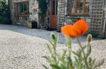 Cysgod Bach & Caban y Saer Cottages - Foto 33