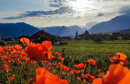 Highlight Apartments - Foto 26