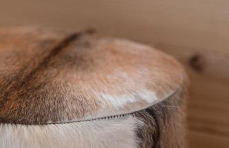 Chalet les Vieux Murs - Foto 16