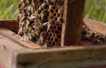 La casa di Maia - Alloggio Agrituristico - Foto 38