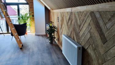 Vigor Horses - Foto 2