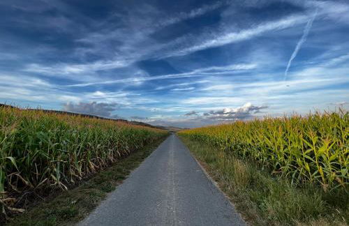 17 AM BERG - Foto 48
