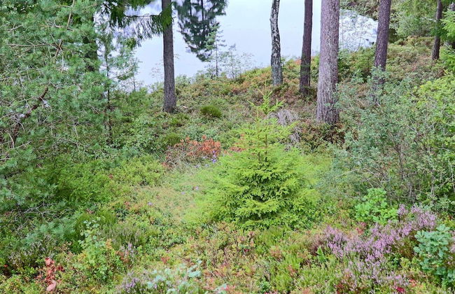 4 Person Holiday Home in Fjaras-by Traum - Foto 22