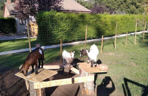 Kira en Las Merindades - Photo 10