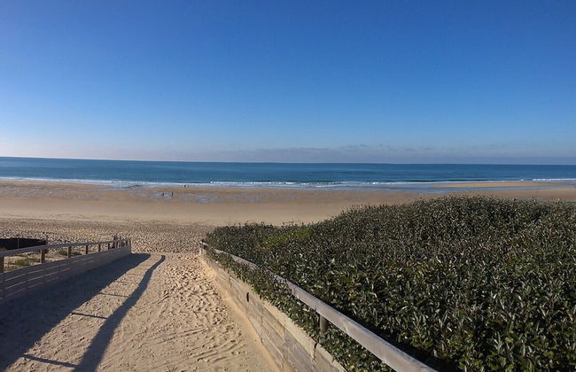 Les Calicots Sanguinet - Photo 17