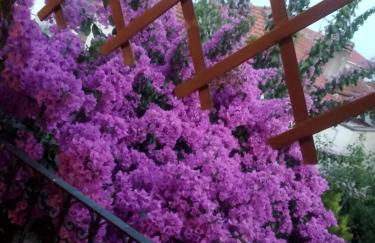 B&B LA BOUGANVILLE - Foto 11