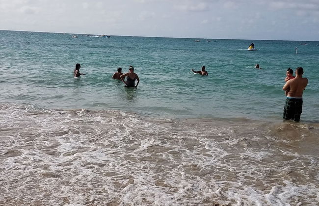 Mare 1660 - Photo 67