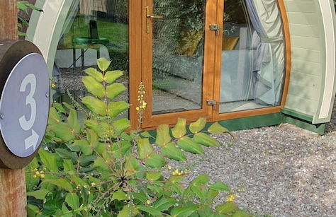 Priory Glamping Pods - Foto 8