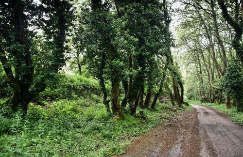 Chalet Coquelicot (Co-cli-co) relax in nature - Photo 56