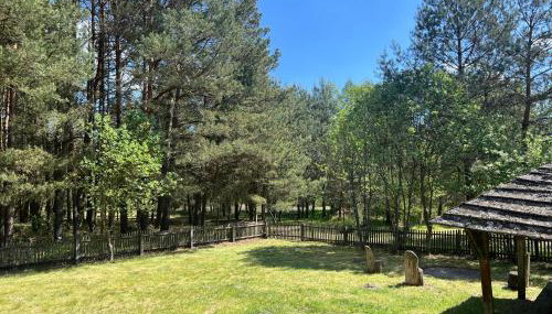 Domek w lesie - Foto 4