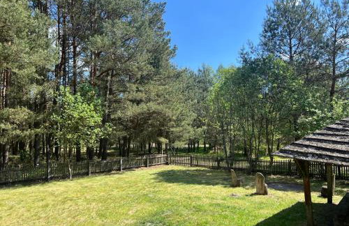 Domek w lesie - Foto 4