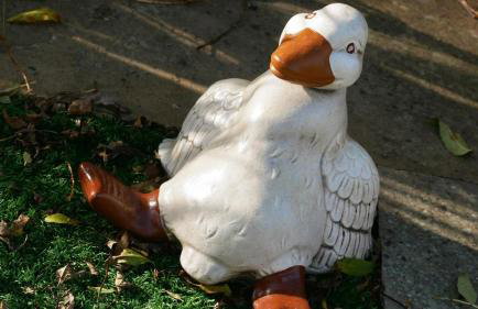 Bright, Stylish 1 KS Bed Bungalow with Private Garden - Foto 21