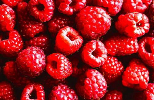 Prairie Comfort - Foto 15