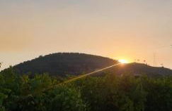 Quinta da Touça - Foto 39