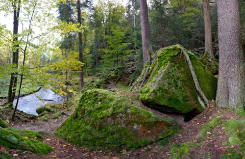 Appartement`s - HAUS KAROLA - Photo 28