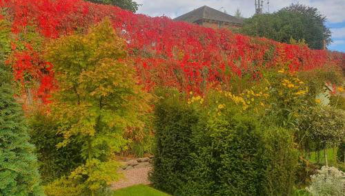 Clairville : Georgian Suite - Central Ross-on-Wye - Foto 4
