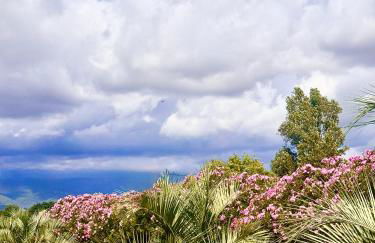 Campo Vecchio Dracena et Piscine - Foto 23