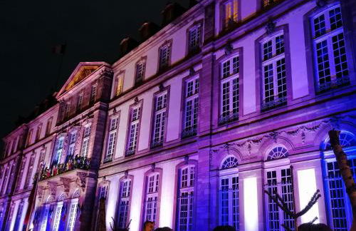 Entre 2 Rives Strasbourg-Kehl - Foto 6