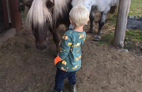 Ferienhof Roller - Foto 6