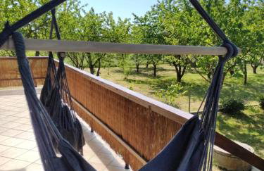 Siedlisko Jelonki - Foto 38