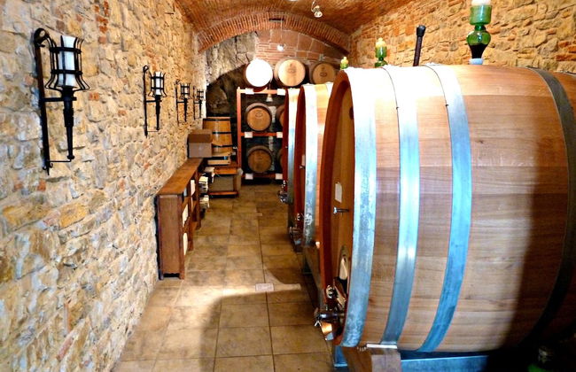 Castello di Volognano - Photo 69