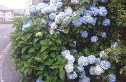 Casa O Torgal - Foto 49