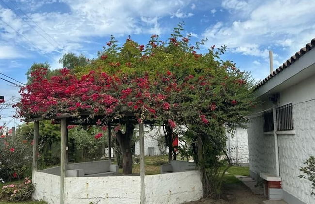 Cabaña Villa Los Plátanos - Foto 19