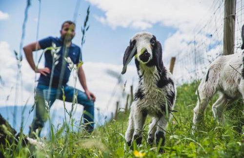 Ferienwohnungen Wiesbauer - Foto 25