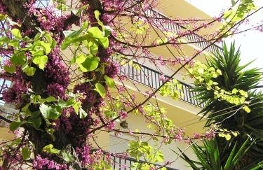 Popy Apartments - Foto 1