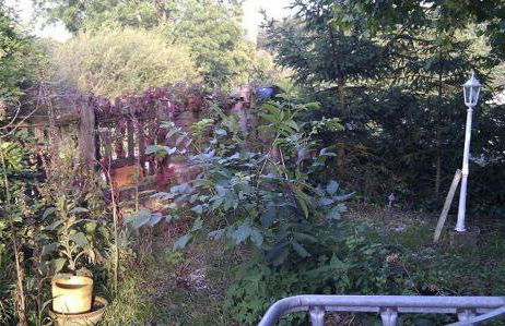 Ferienwohnungen Willrich - Ferienwohnung 3 - Foto 13