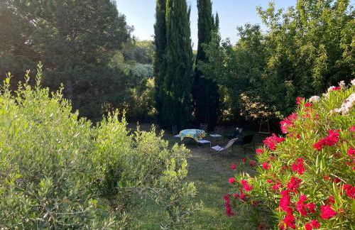 L’Olivier - Foto 37