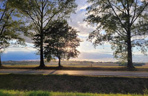 Apartament w Centrum z wanną z hydromasażem - Foto 43