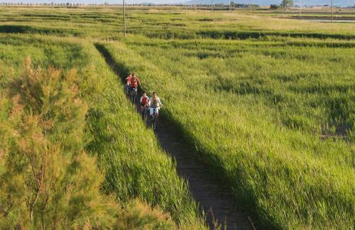 Casa Lorena - Foto 33