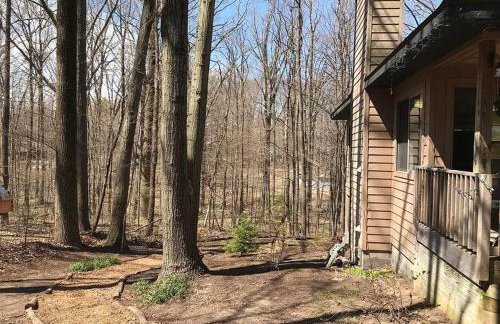 Woodshores Retreat - cozy retreat, hot tub, Lk MI - Photo 13