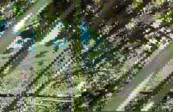 Agriturismo Mare e Monti - Foto 79