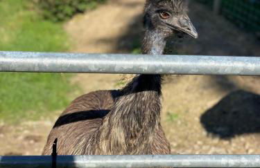 Cherry Cabin - Little Log Cabin in Wales - Foto 27