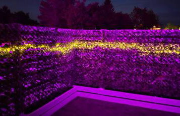 Apartament Diuna Perłowa Przystań-przy plaży, darmowy parking - Foto 48