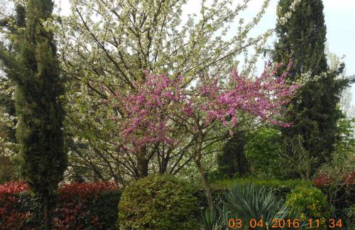 Il Fienile del Colle - Foto 30