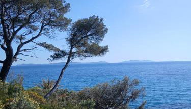 Appartement T2 à la Croix Valmer piscine et tennis - Foto 3