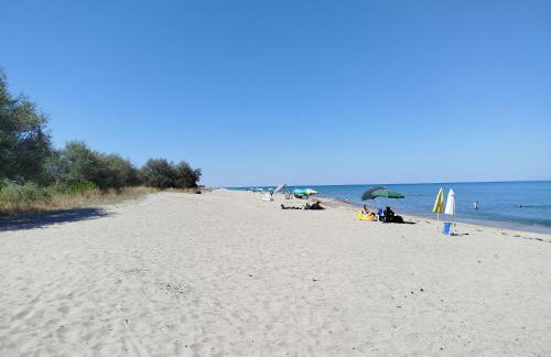 Harmony Apartments - Foto 50