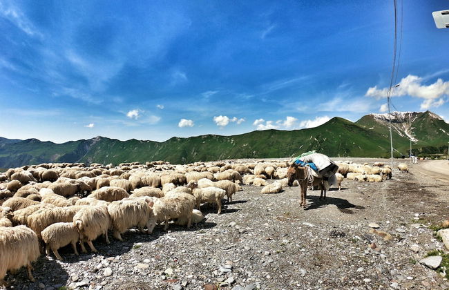 Gogo Apartments New Gudauri - Foto 66