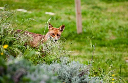 Turisme Rural - Mas Vilà - Monells - Foto 120